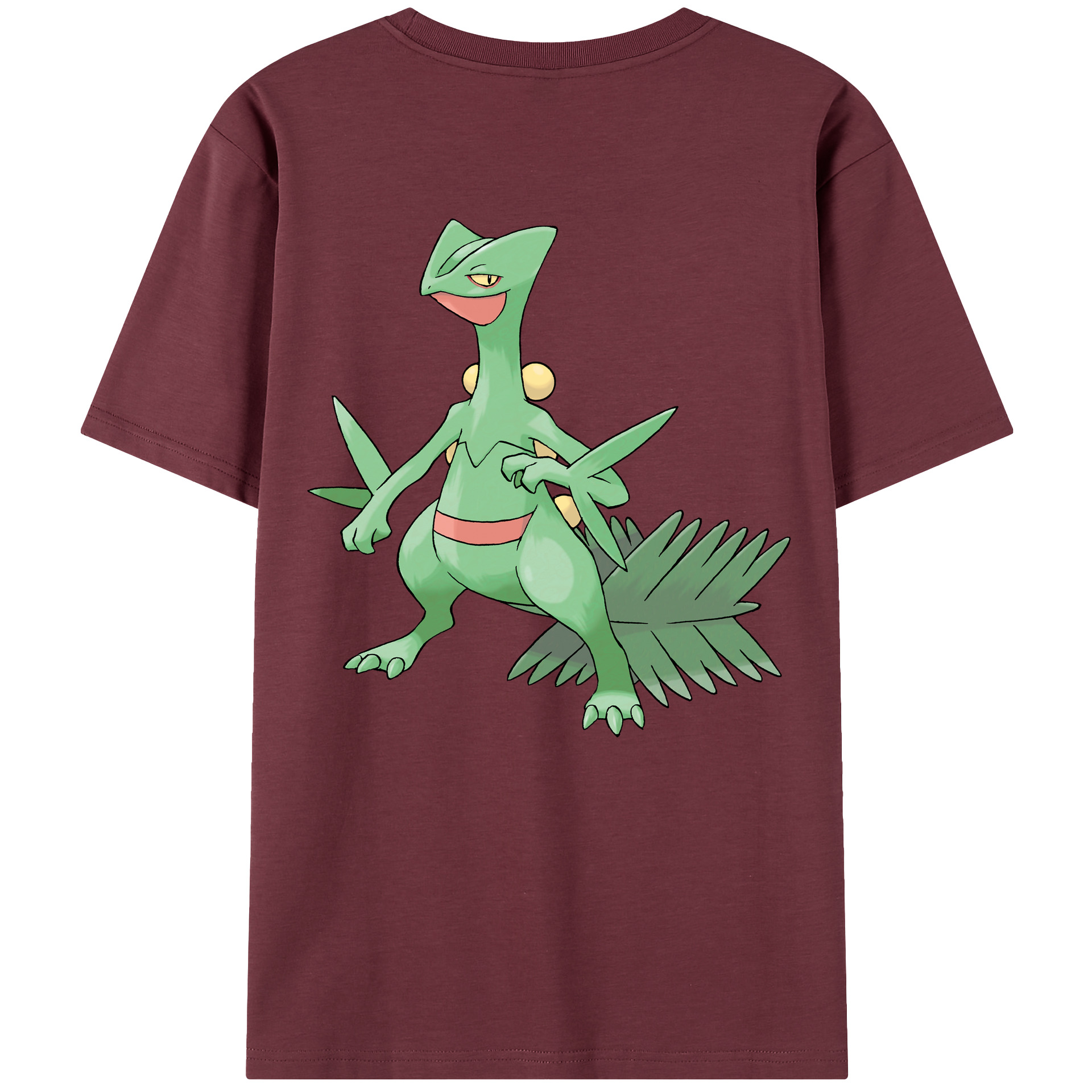 （画像用） ポケットモンスター Pokémon 綿100％半袖Tシャツ（背面プリント）